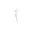 Wade Into Nature logo